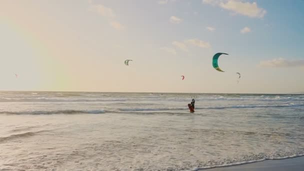 Muitos atletas kitesurf na praia do oceano. Movimento lento — Vídeo de Stock