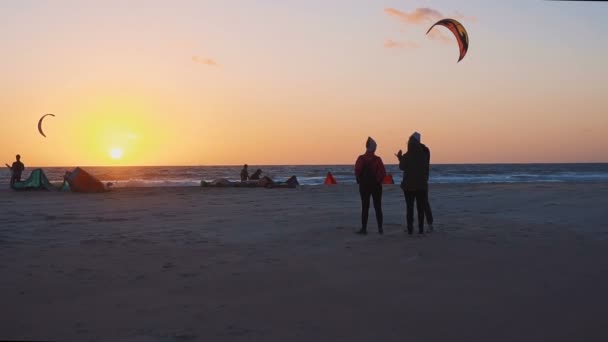 Muitos atletas kitesurf na praia do oceano. Movimento lento — Vídeo de Stock