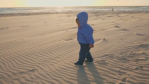 婴儿的生活方式。一个男孩在天然海滩上玩沙子和石头 — 图库视频影像