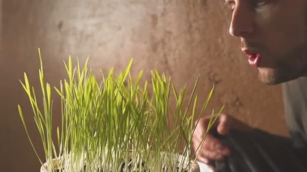 Mão masculina acariciando lâminas de grama verde dentro de casa. close up slow.motion — Vídeo de Stock