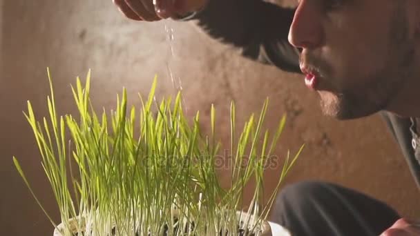 Mão masculina acariciando lâminas de grama verde dentro de casa. close up slow.motion — Vídeo de Stock