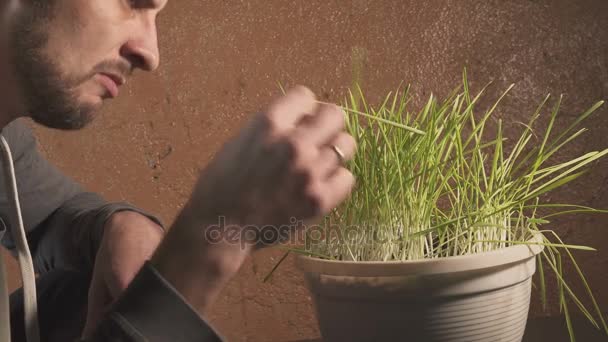 Legrační člověk jíst syrové tráva. Konceptuální vtip o syrové stravě — Stock video