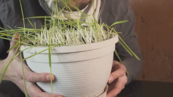 Lustiger Mann, der rohes Gras isst. Konzeptioneller Witz über rohe Ernährung — Stockvideo