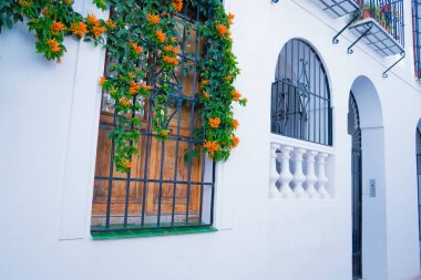 Geleneksel pencere ile bina taze portakal çiçekleri ile süslenmiş. İspanya, Nerja