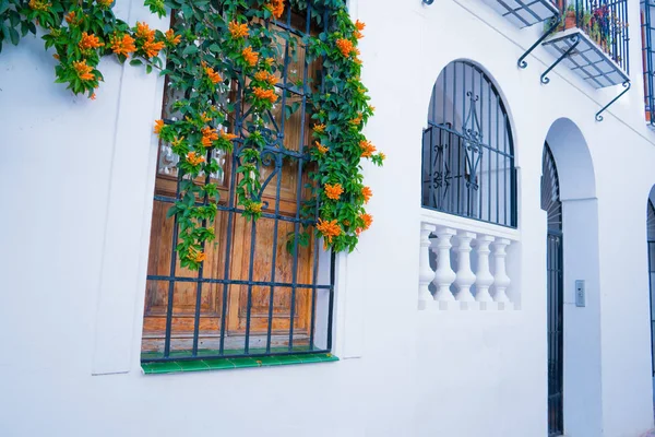 Edificio con ventana tradicional decorado con flores naranjas frescas. España, Nerja —  Fotos de Stock