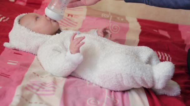 Feliz bebé en la espalda — Vídeos de Stock