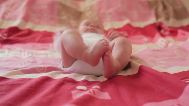 Feliz bebé en la espalda — Vídeo de stock
