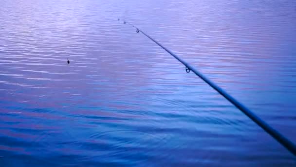 Flotador de pesca en el lago — Vídeos de Stock