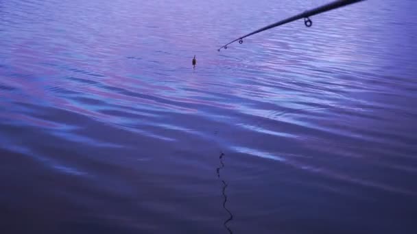 Flotteur de pêche dans le lac — Video