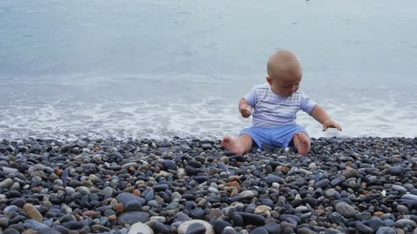 Menino recém-nascido brinca à beira-mar ventoso com pedras — Vídeo de Stock