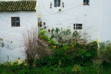 bir beyaz bitkiler, Endülüs, İspanya ile bina cephe