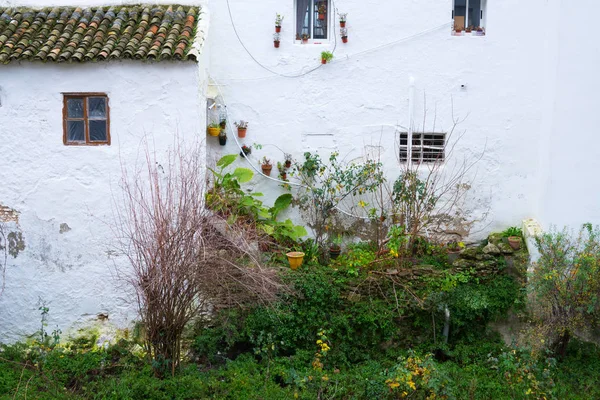 bir beyaz bitkiler, Endülüs, İspanya ile bina cephe