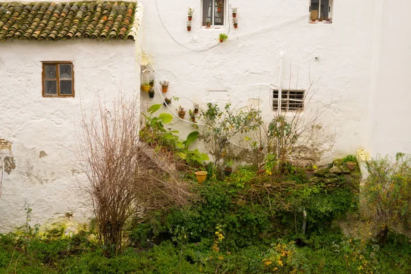 bir beyaz bitkiler, Endülüs, İspanya ile bina cephe