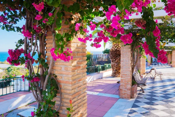 renkli çiçekler, Şehir Parkı, denize yakın yeşil alan ile antik sütunlar