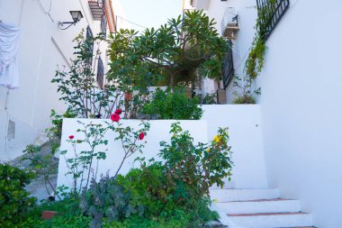 Bina duvar ile taze kırmızı çiçekler ile dekore edilmiştir. İspanya, Nerja