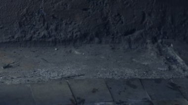 Düşen kırık çiçekler - ayrılık kavramı. Ağır çekim