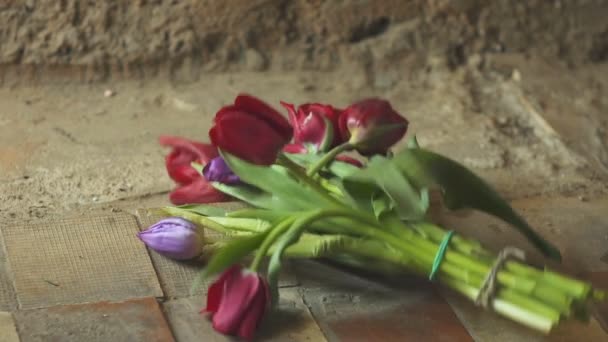 Fallende zerbrochene Blumen - Konzept des Abschieds. Zeitlupe — Stockvideo