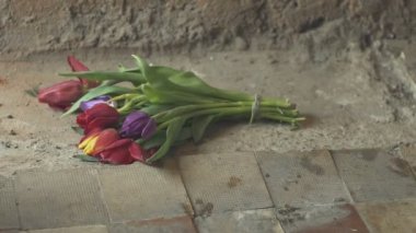 Düşen kırık çiçekler - ayrılık kavramı. Ağır çekim