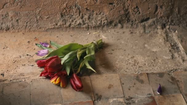 Fallende zerbrochene Blumen - Konzept des Abschieds. Zeitlupe — Stockvideo