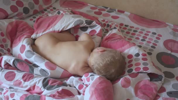 Portret van een oude baby van één oor. slapen en wakker worden. — Stockvideo