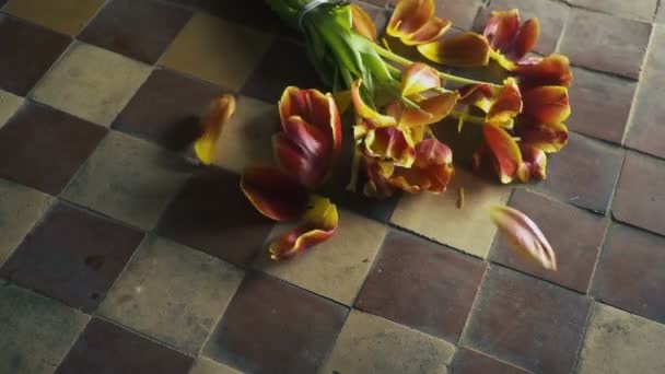 Fallande trasiga blommor - begreppet död och ensamhet. Slow motion — Stockvideo