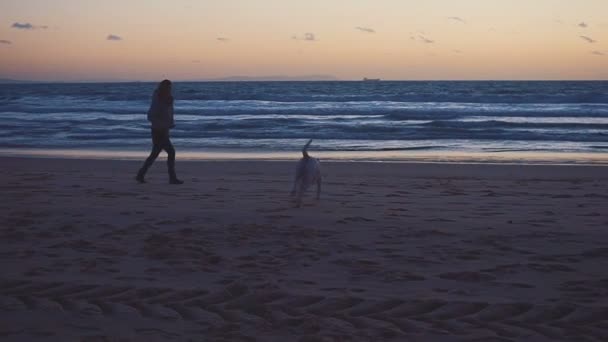 Jovem fêmea brincando com cachorro na praia ao pôr do sol, câmera lenta — Vídeo de Stock