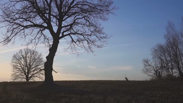 Grim Reaper sunset silhouette. concept of death — Stock Video