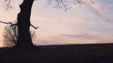 Yeni bir kurban için Azrail geldi ve uyar o kurban, adam, ama adam kaçmak istiyor. gün batımı siluet. ölüm kavramı ve hayatta kalmak için mücadele