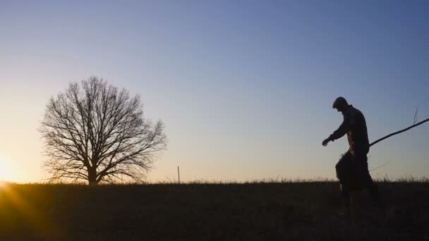Mann pflanzt Baum auf Feld. Sonnenaufgang, Sonnenuntergang. Silhouette. Frühling oder Sommer — Stockvideo