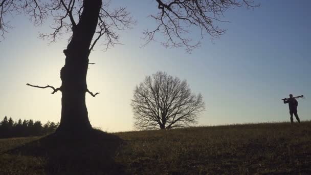 Stfarmer egy lapáttal, séta a pályán. Általuk berendezés egy fa ültetése. A naplemente. Oldalnézet — Stock videók