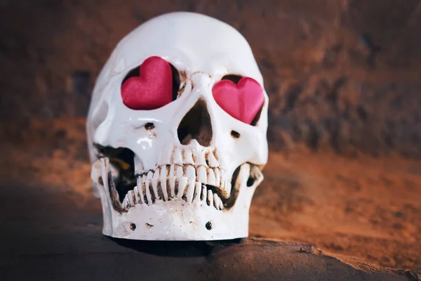 insan kafatası kırmızı kalp ile. Sevgililer günü için kavram.