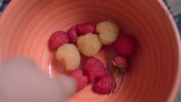 Baby isst frische Beeren im Zimmer. ein Teller Himbeeren und Babys Hände aus nächster Nähe — Stockvideo