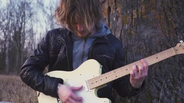 Člověk hraje elektrická kytara v poli poblíž stromu při západu slunce — Stock video