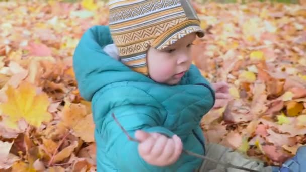 Niño en madera de otoño, se arrastra y se baña en las hojas. esteadicam — Vídeos de Stock