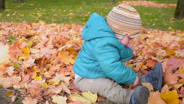 Menino em madeira de outono, rasteja e banha-se em folhas. estefadame — Vídeo de Stock