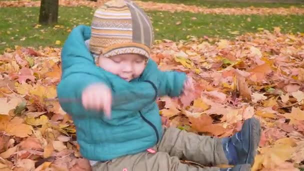 Niño en madera de otoño, se arrastra y se baña en las hojas. esteadicam — Vídeos de Stock