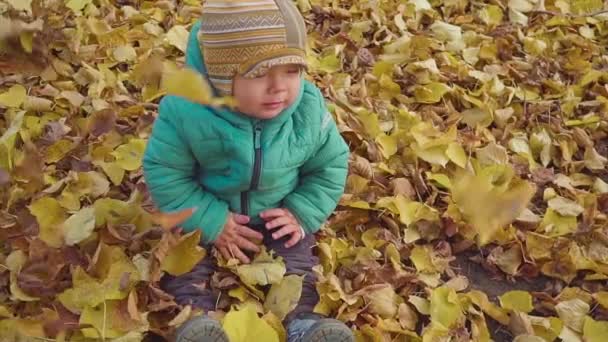 Счастливый улыбчивый мальчик, играющий с опавшими листьями в парке. замедленное движение — стоковое видео
