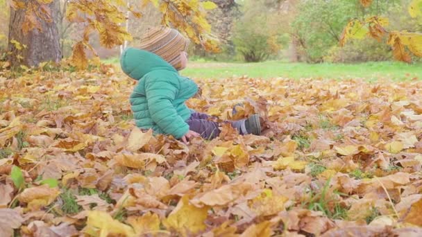 秋の公園のスローモーションで葉の秋と遊ぶ少年 — ストック動画