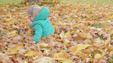 küçük çocuk ile Sonbahar oynamak sonbahar park ağır çekimde bırakır