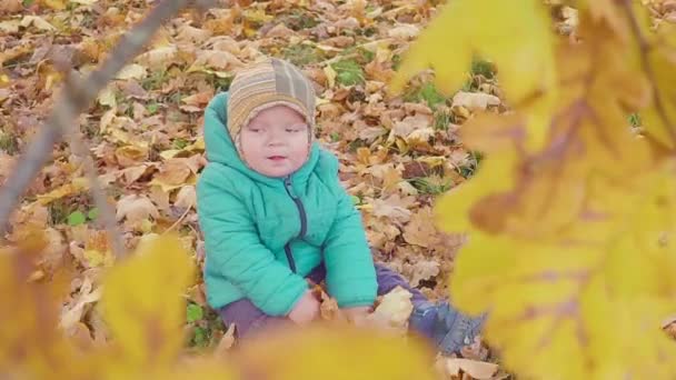 Menino brincando com folhas de outono no parque de outono câmera lenta — Vídeo de Stock