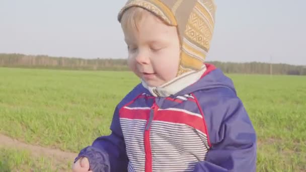 Un niño de un año va al campo con trigo joven. Primer plano. — Vídeo de stock
