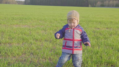 bir yıl yaşlı erkek çocuk genç buğday alanında gider