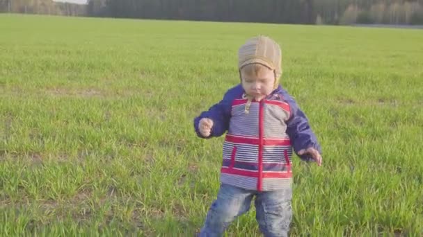 Один год мальчик идет в поле с молодой пшеницей — стоковое видео