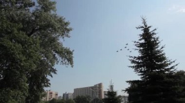 Şehrin üzerinde askeri uçak
