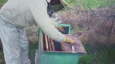 Arılar petek üzerinde. Bal hasat. Arıcı yavaşça çerçevelemek--dan arılar kaldırır. arı kovanı makro. HD