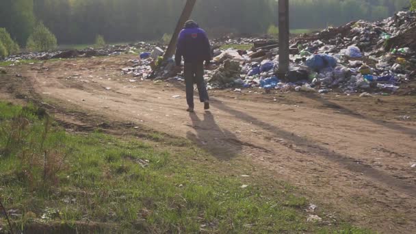 Vagabundo caminando por el basurero en el basurero. Hambre y pobreza — Vídeos de Stock