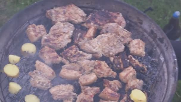 Grillezett karó és burgonya barbecue. — Stock videók