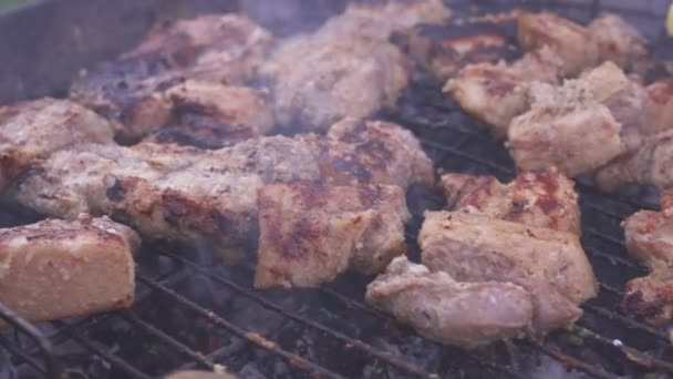 Grilled stake and potato on barbecue. — Stock Video