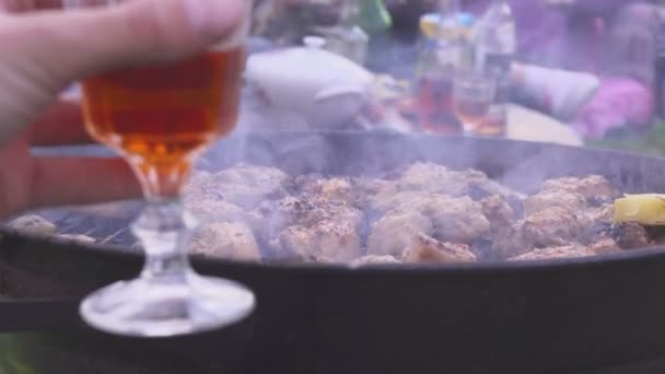 Picknick met alcohol op aard. Gegrilde spel en aardappel op de barbecue. — Stockvideo