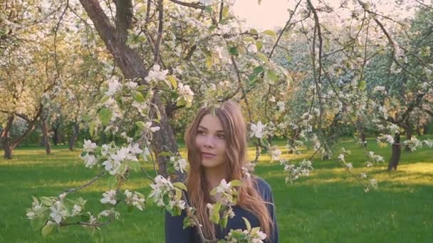 Giovane donna felice che cammina in un frutteto di mele nei fiori primaverili bianchi. Ritratto di una bella donna — Video Stock